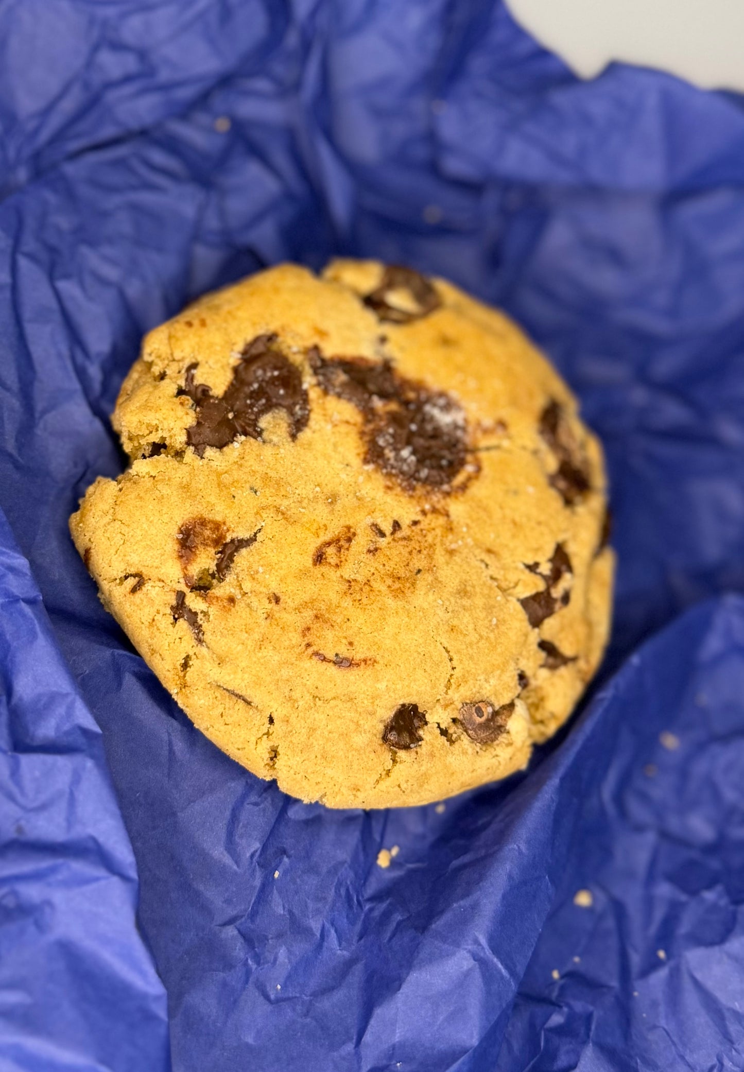 Gourmet Chocolate Chunk Cookies